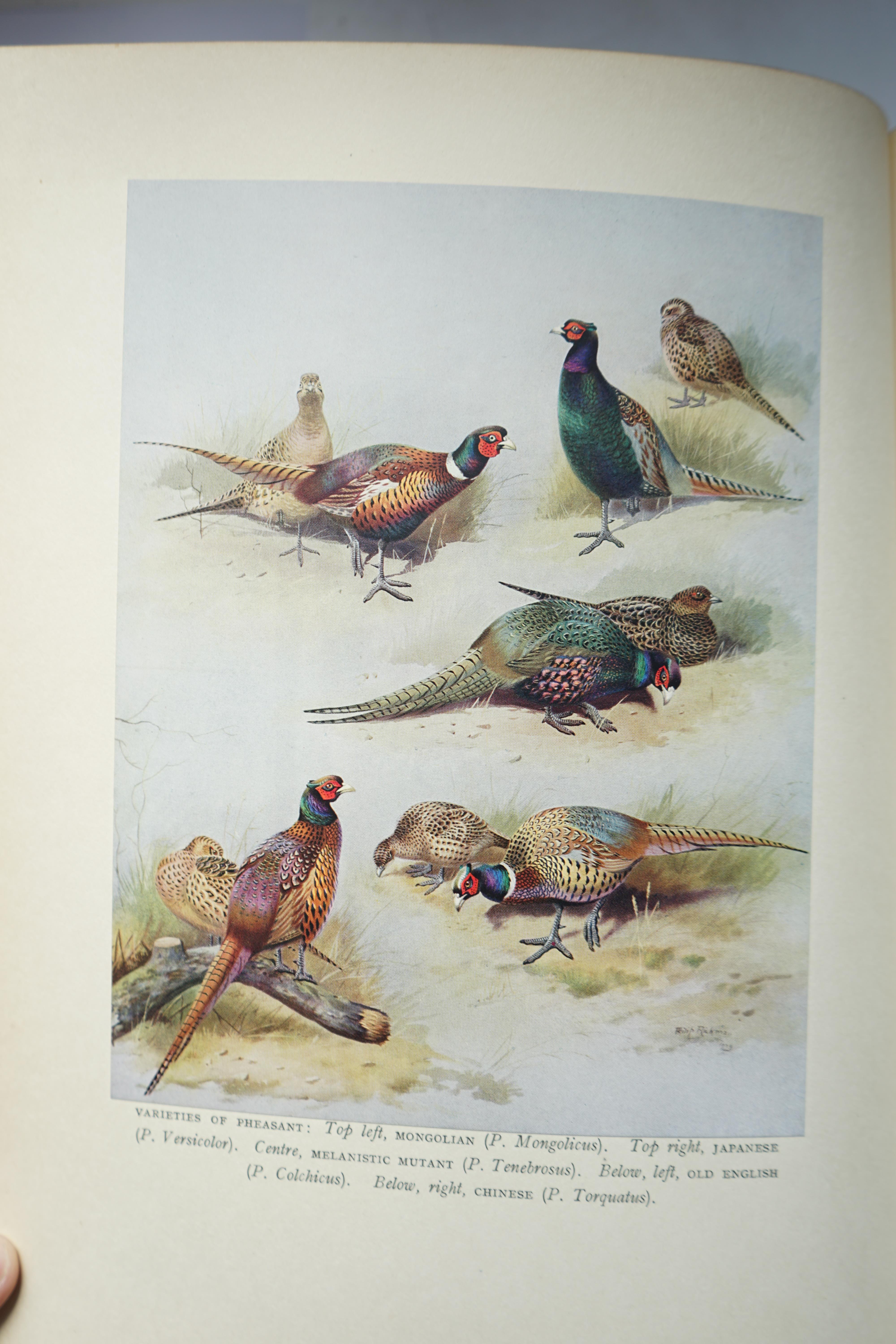 Pollard, Hugh B. C - Game Birds Rearing, Preservation and Shooting, illustrated with 12 coloured plates by Philip Rickman, 4to, fine presentation tan morocco gilt binding to the Lord Mayor of London , Sir Percy Vincent,